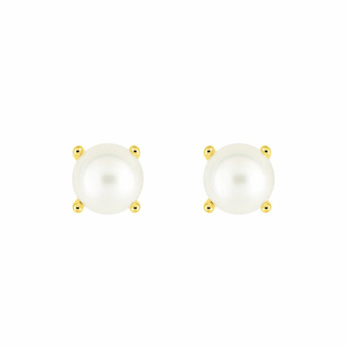 puces perle
