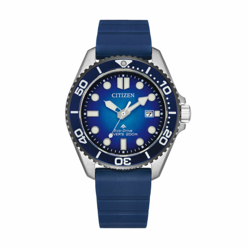 citizen diver BN0267-04L